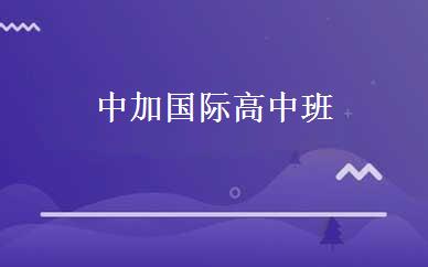 中加国际高中班 