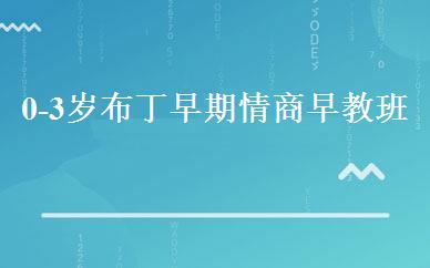0-3岁布丁早期情商早教班 