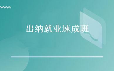 出纳就业速成班 