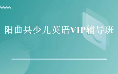 阳曲县少儿英语VIP辅导班