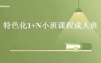 特色化1+N小班课程成人班 