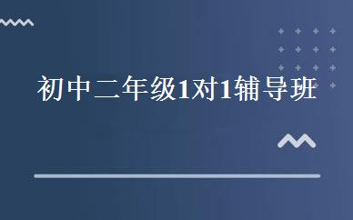 初中二年级1对1辅导班 