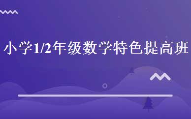 小学1/2年级数学特色提高班 