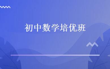 初中数学培优班 