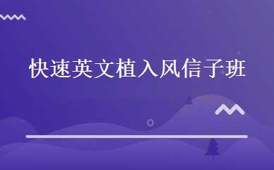 快速英文植入风信子班 
