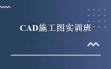 CAD施工图实训班 