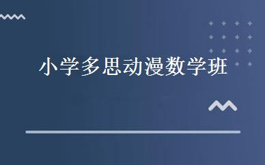 小学多思动漫数学班 