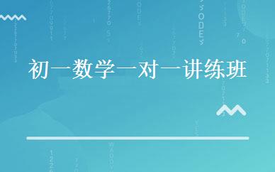 初一数学一对一讲练班 