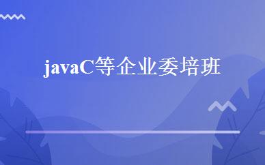 javaC等企业委培班 