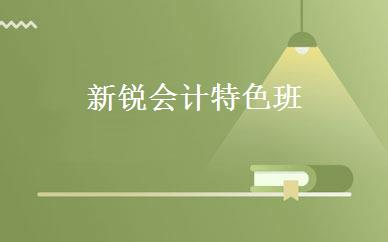 新锐会计特色班 