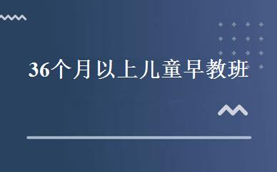 36个月以上儿童早教班 