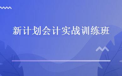 新计划会计实战训练班 