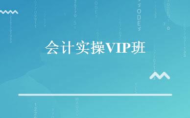 会计实操VIP班 