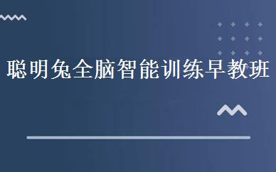 聪明兔全脑智能训练早教班 
