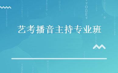 艺考播音主持专业班 