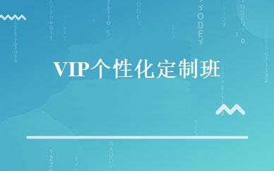VIP个性化定制班 