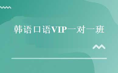韩语口语VIP一对一班 