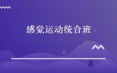 感觉运动统合班 