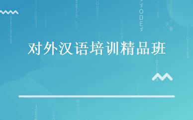 对外汉语培训精品班 