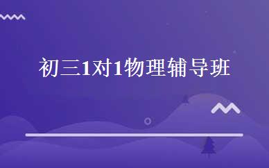 初三1对1物理辅导班  