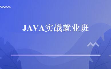 JAVA实战就业班 