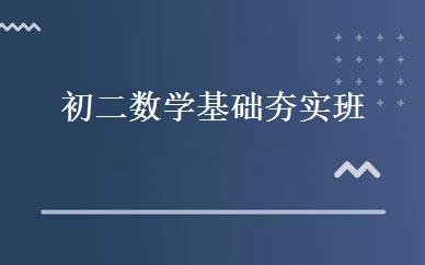 初二数学基础夯实班 