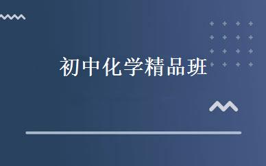初中化学精品班 
