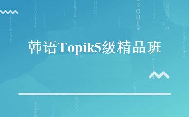 韩语Topik5级精品班 