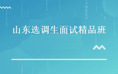 山东选调生面试精品班 