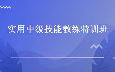 实用中级技能教练特训班 
