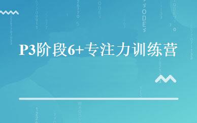 P3阶段6+专注力训练营 