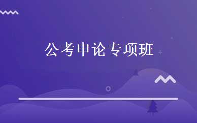 公考申论专项班 