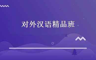 对外汉语精品班 