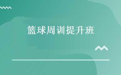 篮球周训提升班