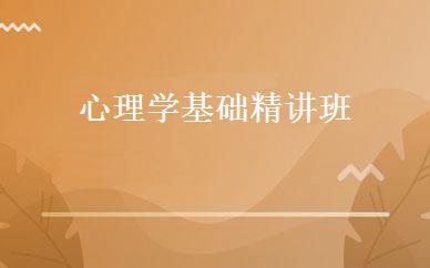 心理学基础精讲班 