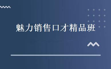 魅力销售口才精品班 