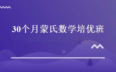 30个月蒙氏数学培优班 