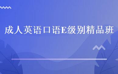 成人英语口语E级别精品班 