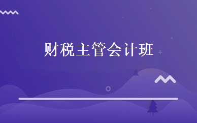 财税主管会计班 