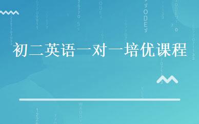 初二英语一对一培优课程 