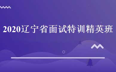 2020辽宁省面试特训精英班 