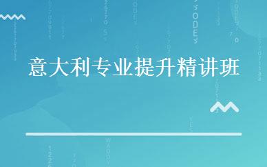意大利专业提升精讲班 
