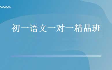 初一语文一对一精品班 