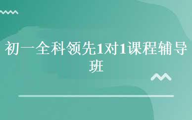 初一全科领先1对1课程辅导班 