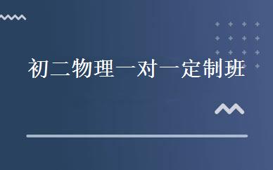 初二物理一对一定制班 