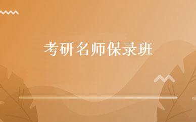 考研名师保录班 