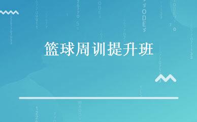 篮球周训提升班