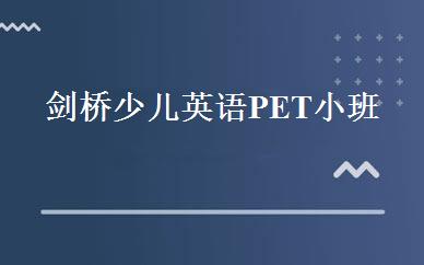 剑桥少儿英语PET小班 