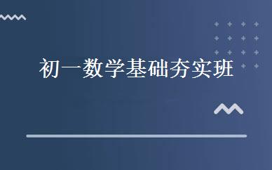 初一数学基础夯实班 