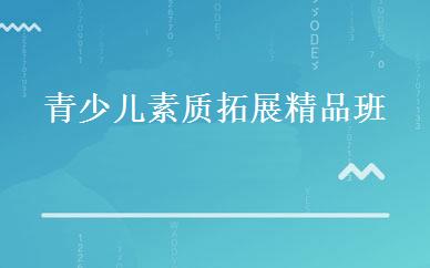 湖南小学辅导哪家好,多少钱_青少儿素质拓展精品班 _长沙博沃思教育